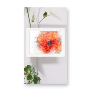 Poster FLT Messicole Liquide, une affiche photographique de coquelicot rouge vif sur fond artistique, avec sa tige et ses feuilles vertes.